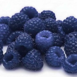 Blue Raspberries Are A Naturally Occurring Color Of Berry