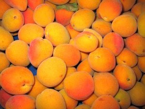 Apricot